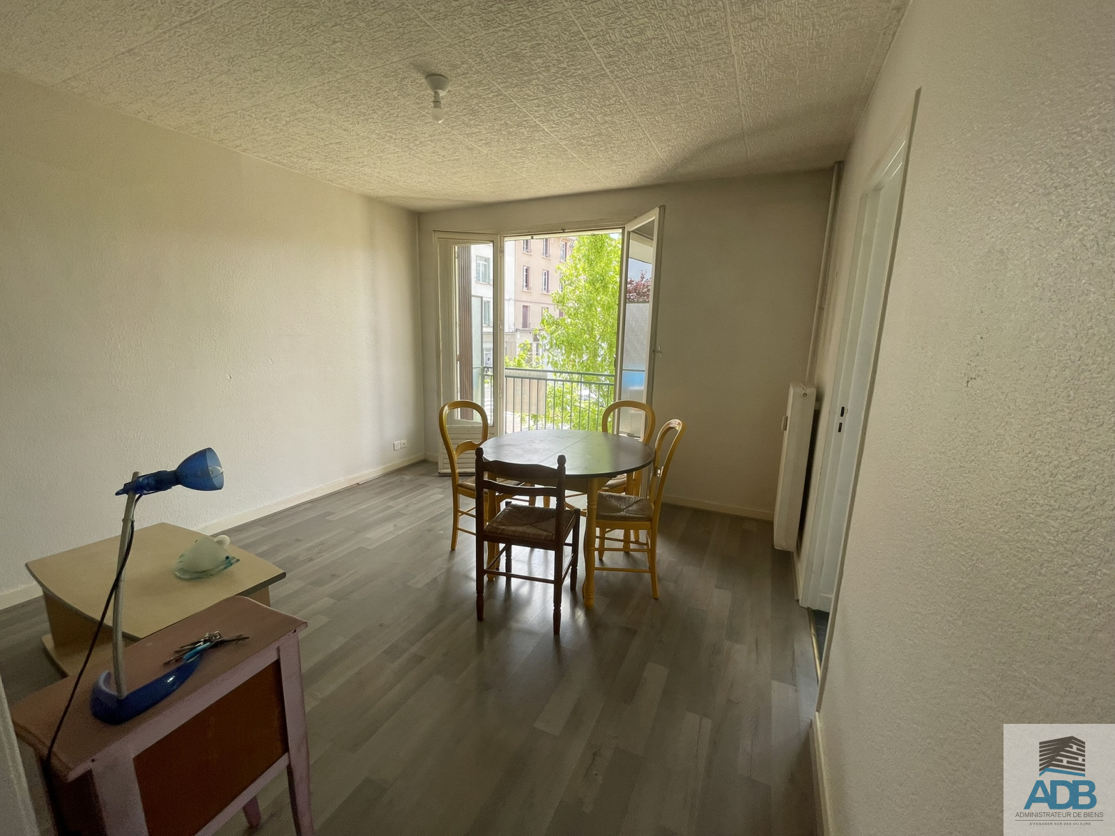 Image_, Appartement, Roanne, ref :3469la