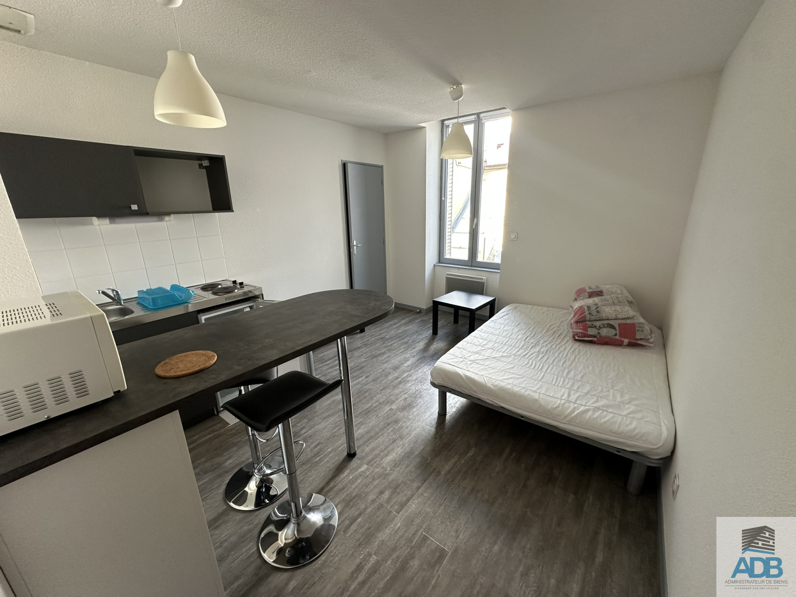 Image_, Appartement, Roanne, ref :LAP140002972