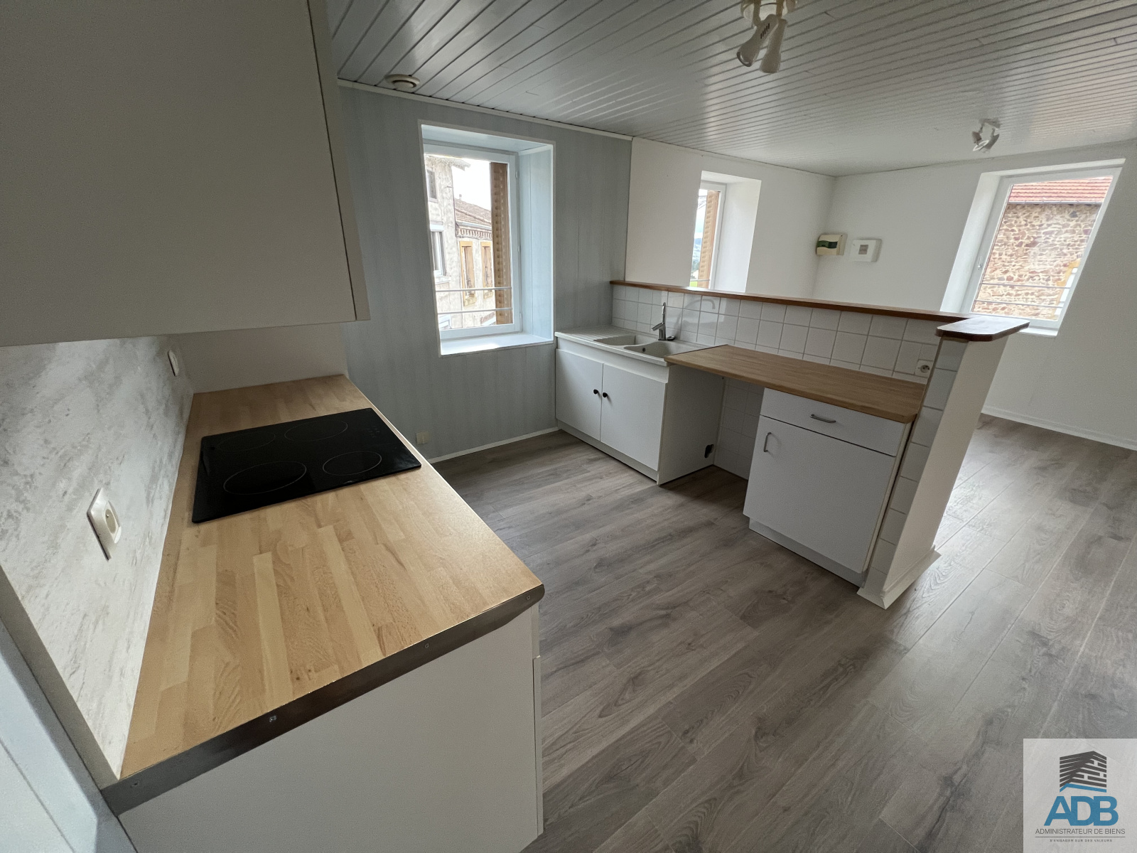 Image_, Appartement, Cordelle, ref :4174la