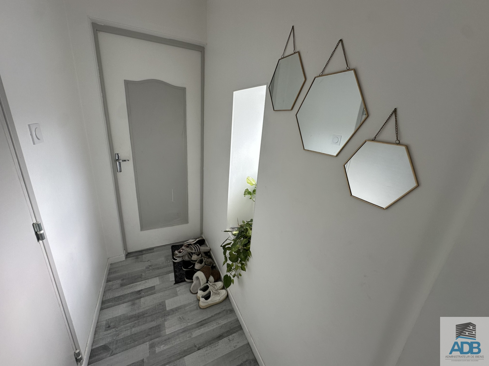 Image_, Appartement, Roanne, ref :LAP50005119