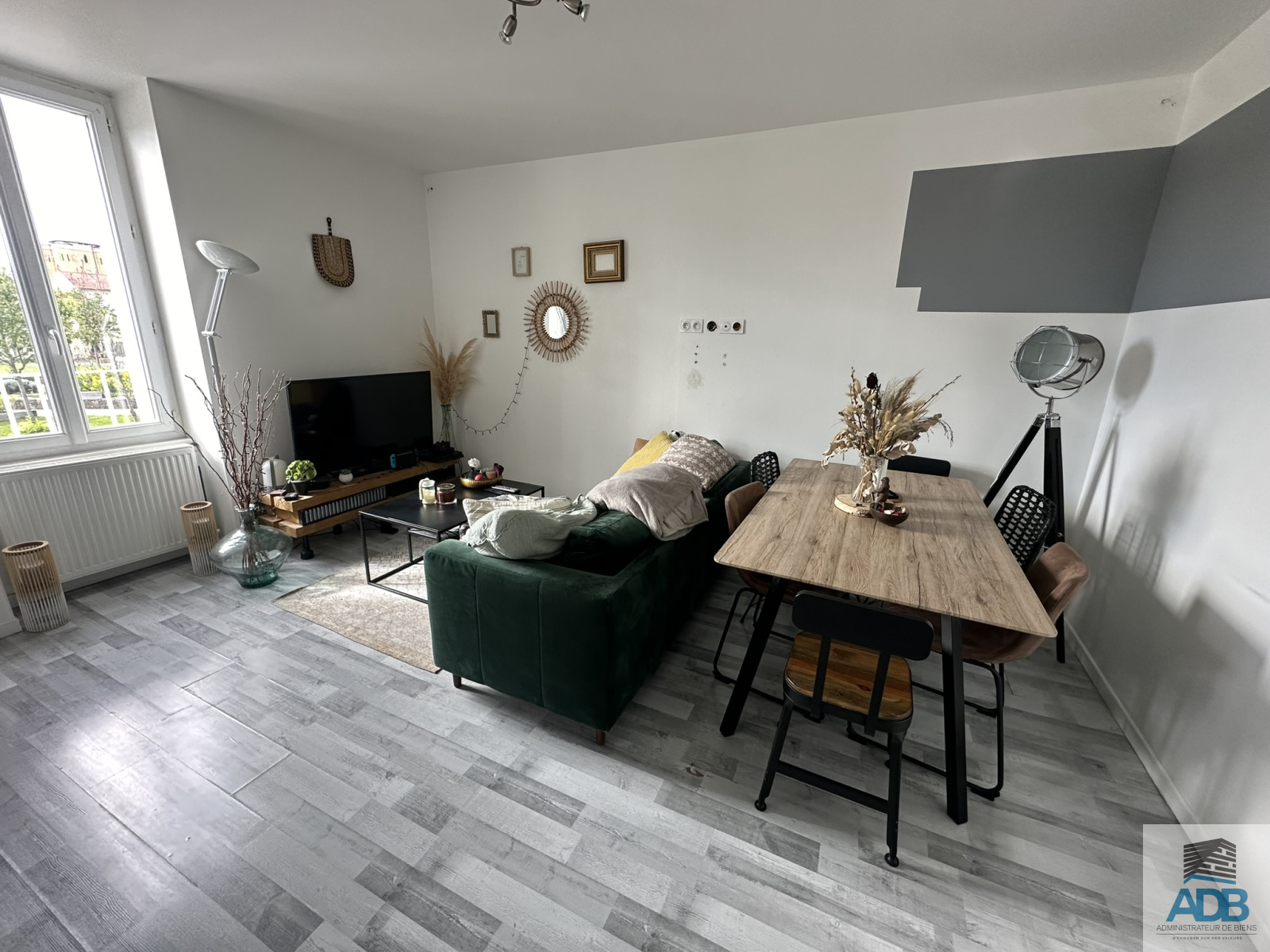 Image_, Appartement, Roanne, ref :LAP50005119
