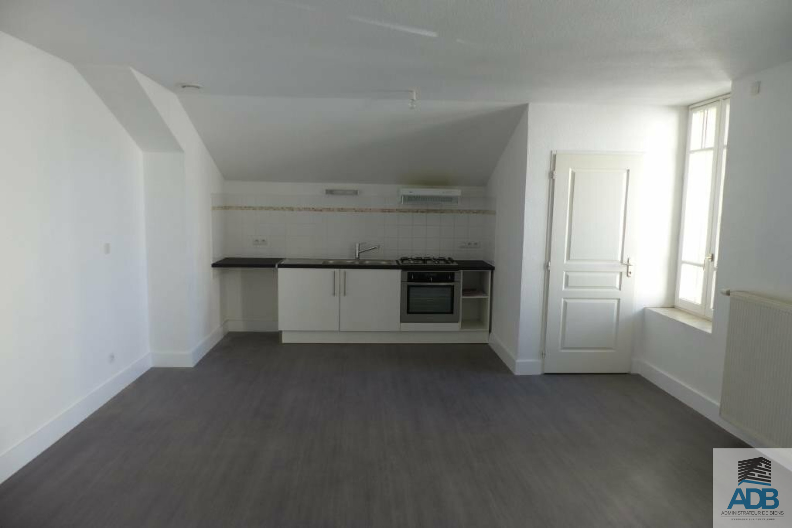 Image_, Appartement, Roanne, ref :LAP170001711
