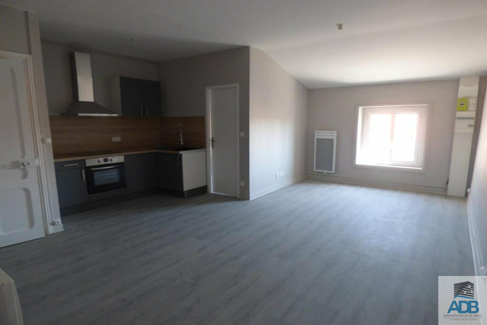 Image_, Appartement, Roanne, ref :LAP60003120