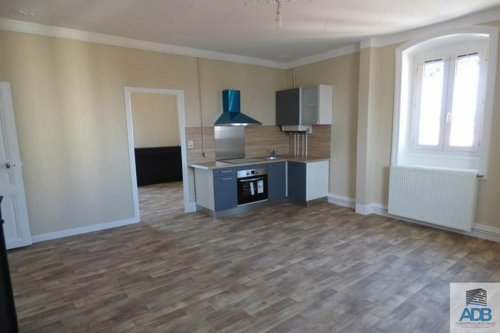 Image_, Appartement, Roanne, ref :LAP140002960