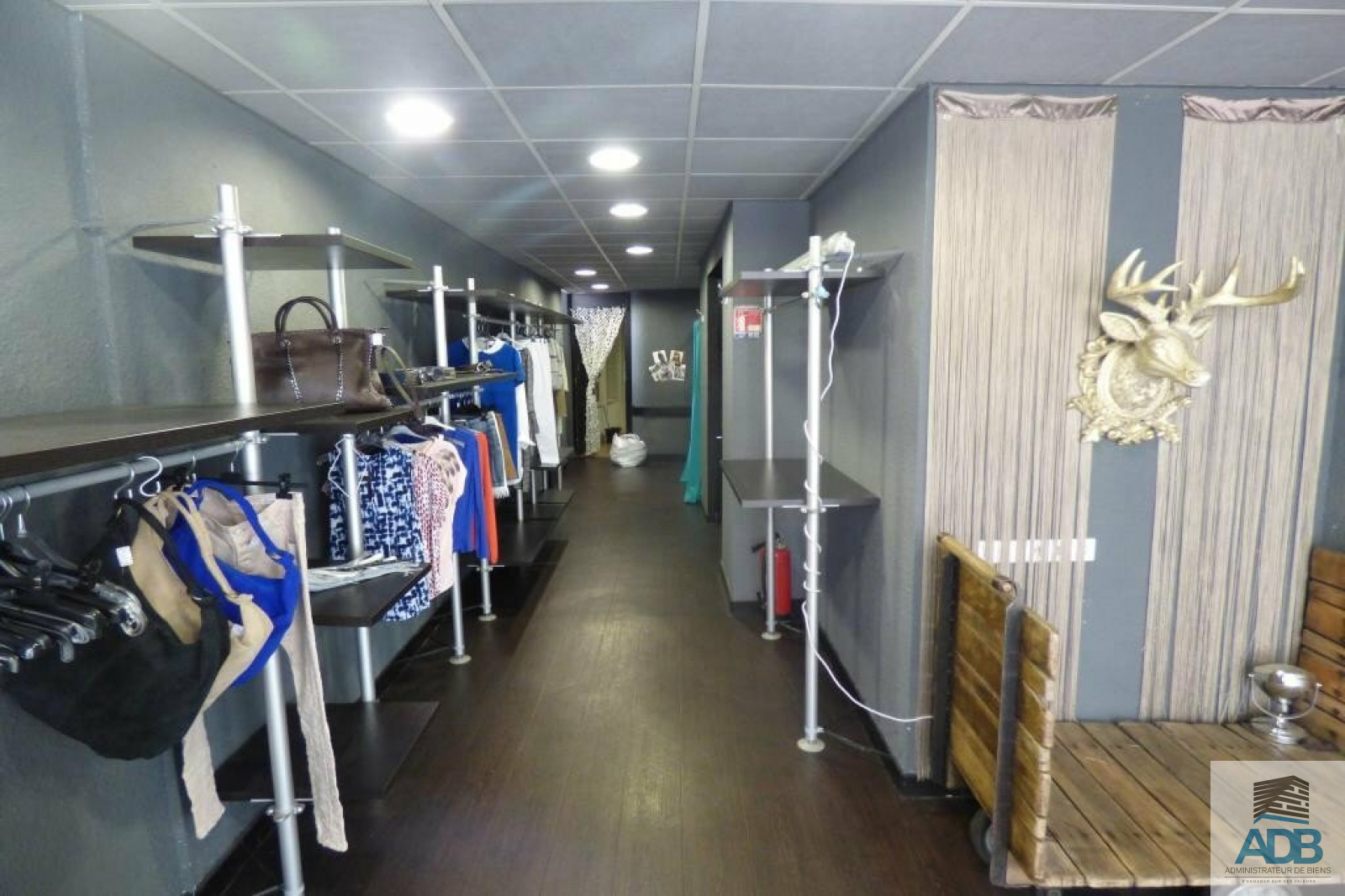 Image_, Local commercial, Roanne, ref :56lc