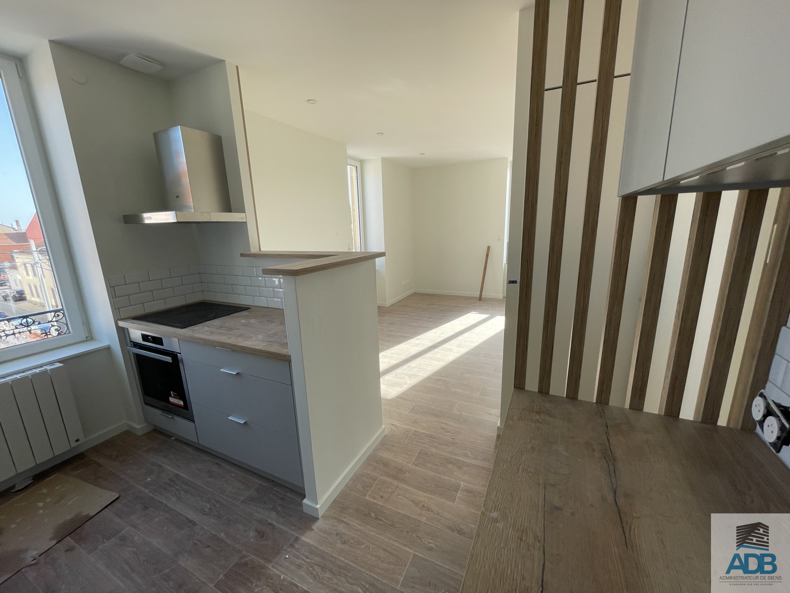 Image_, Appartement, Roanne, ref :LAP60002789