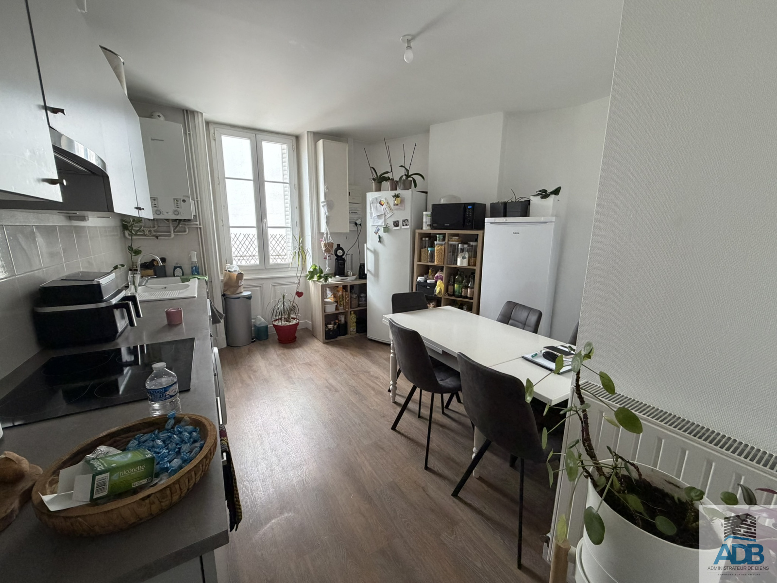 Image_, Appartement, Roanne, ref :LAP50005185