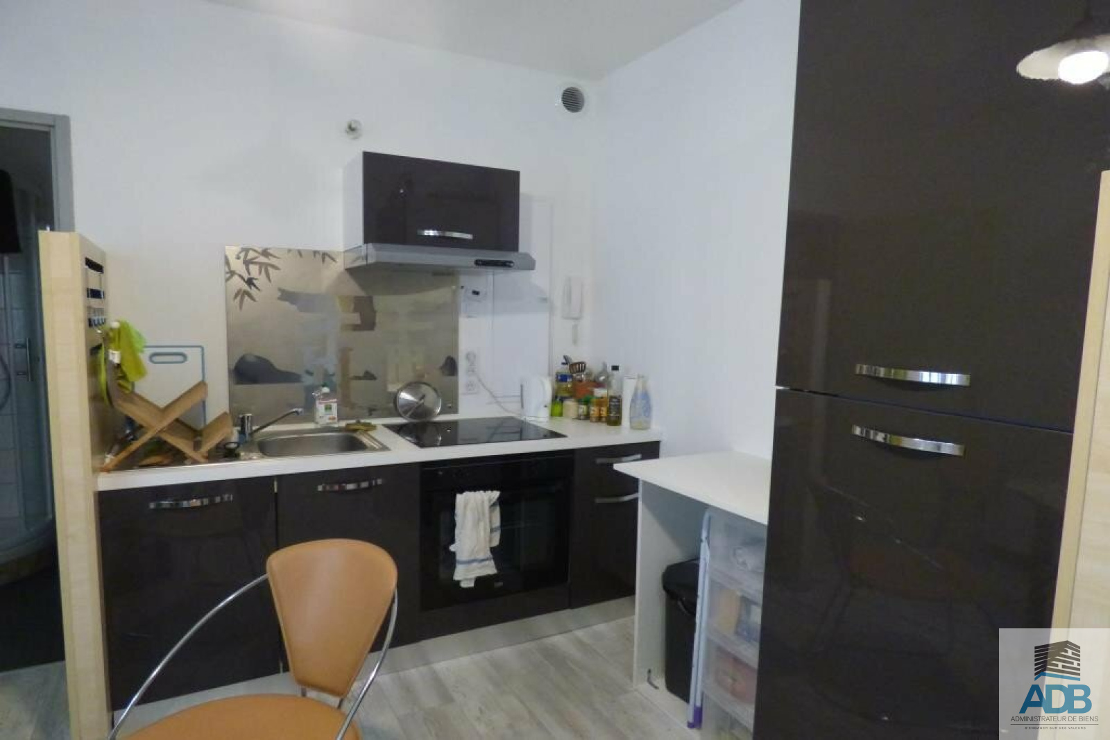 Image_, Appartement, Roanne, ref :LAP140003352