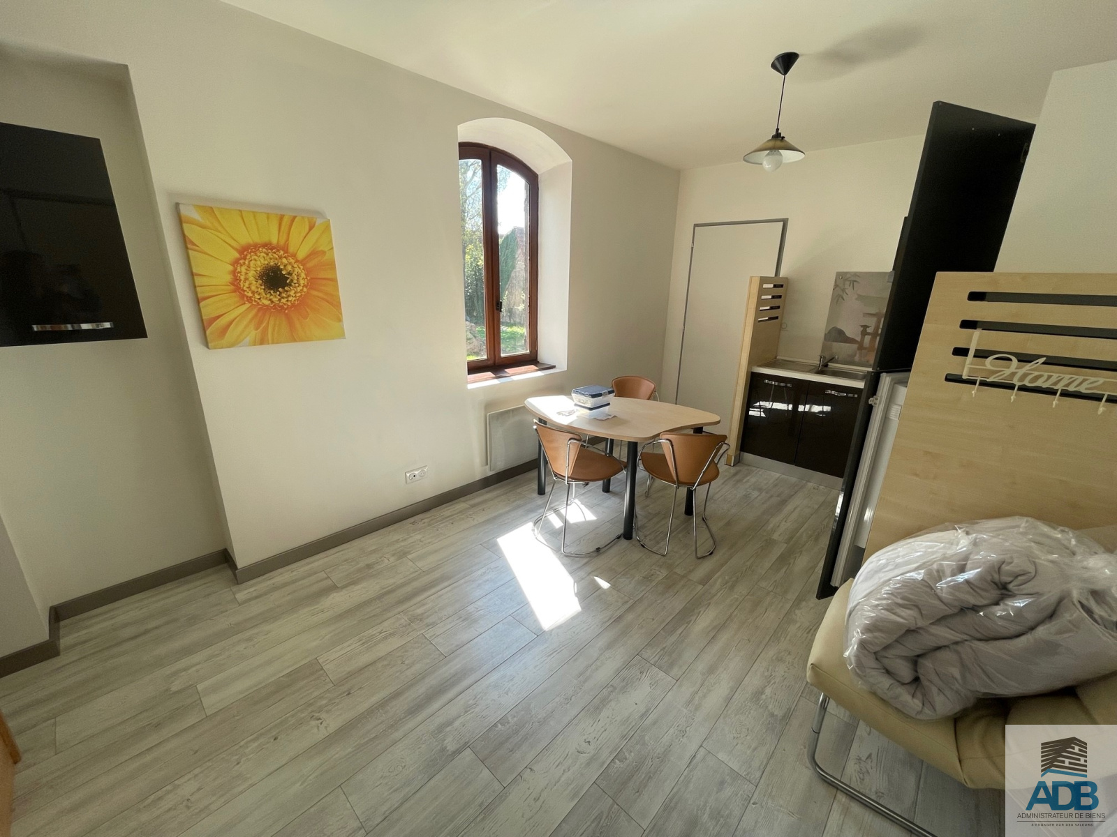Image_, Appartement, Roanne, ref :LAP140003352