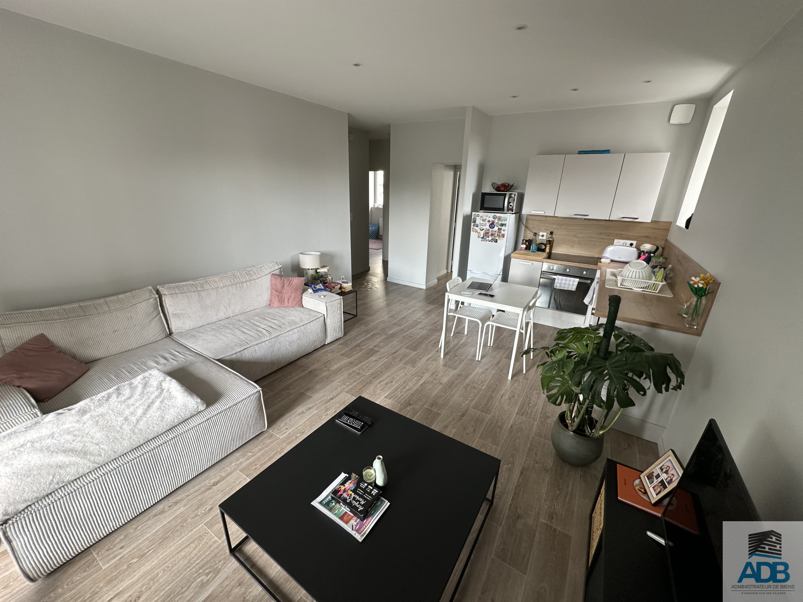 Image_, Appartement, Roanne, ref :LAP210004188