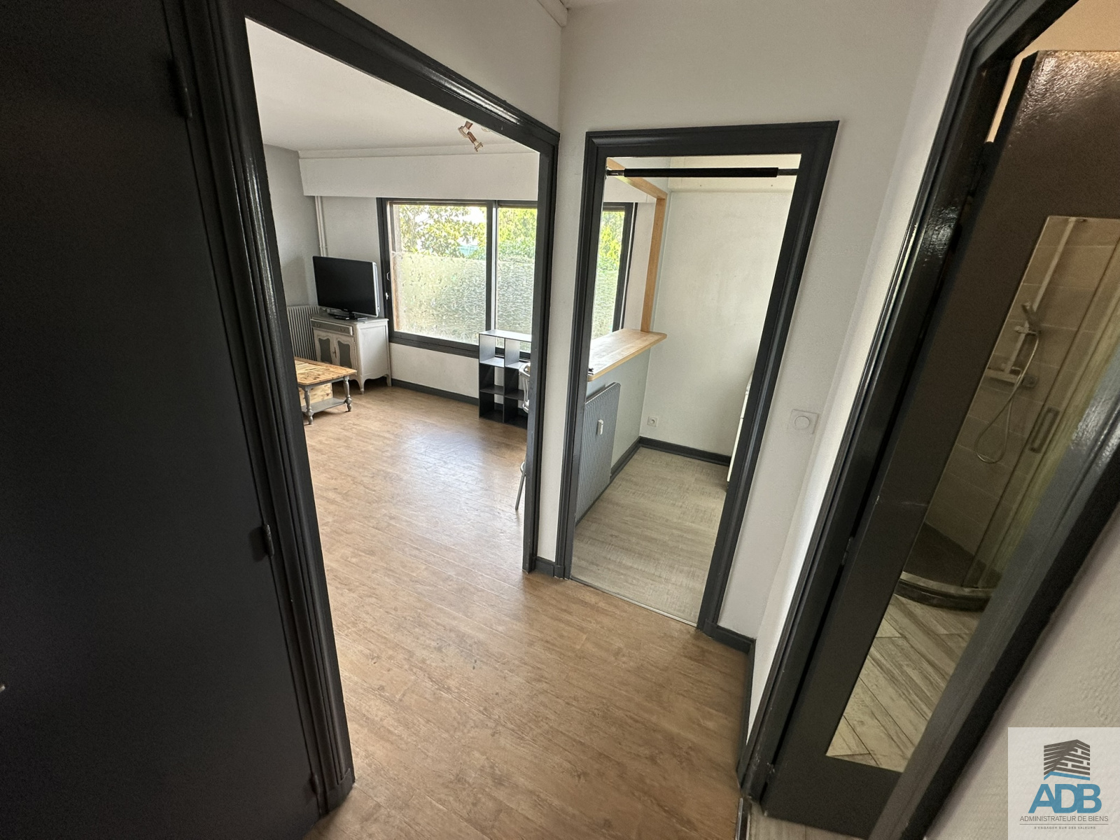 Image_, Appartement, Roanne, ref :VAP50005104