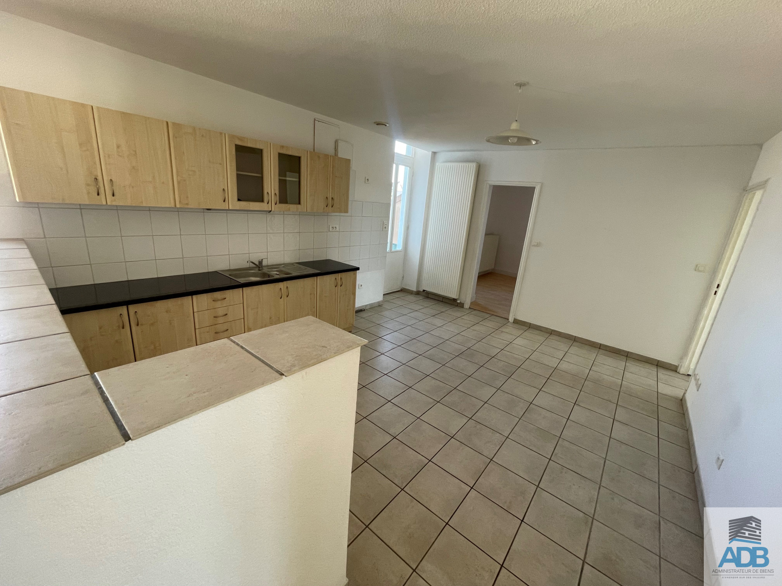 Image_, Appartement, Roanne, ref :LAP170000569