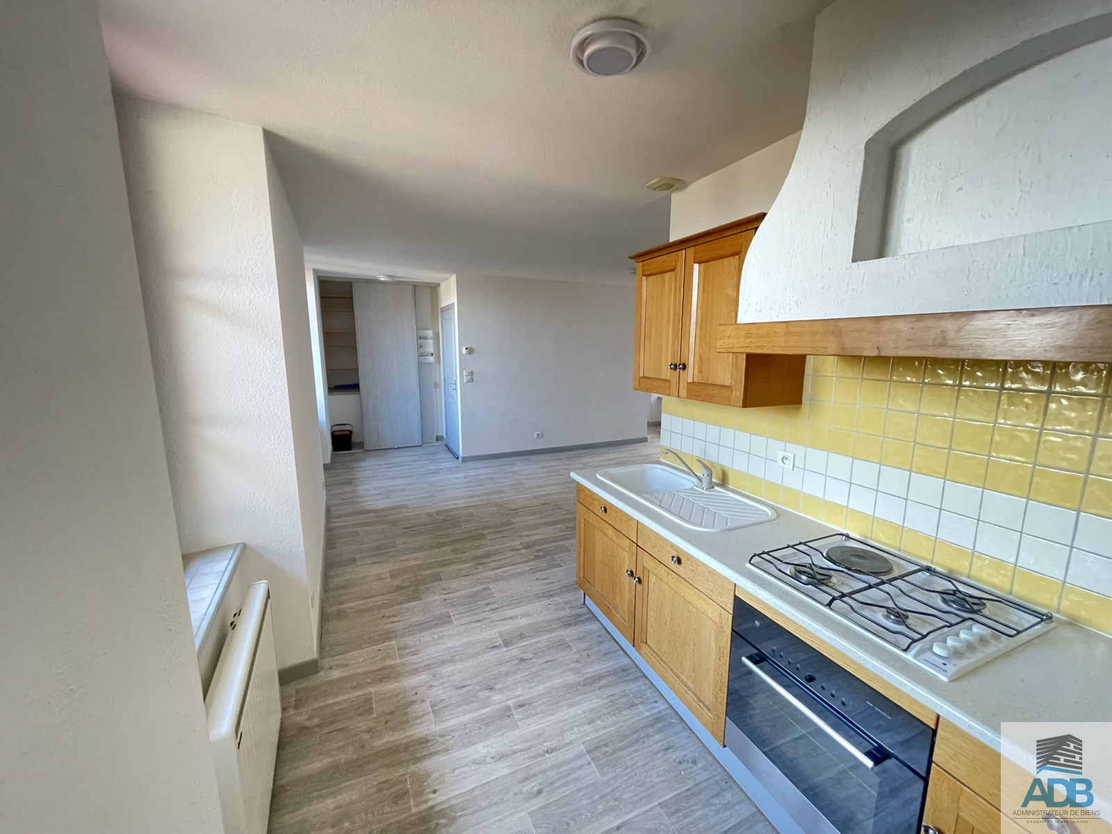 Image_, Appartement, Ambierle, ref :LAP30005122