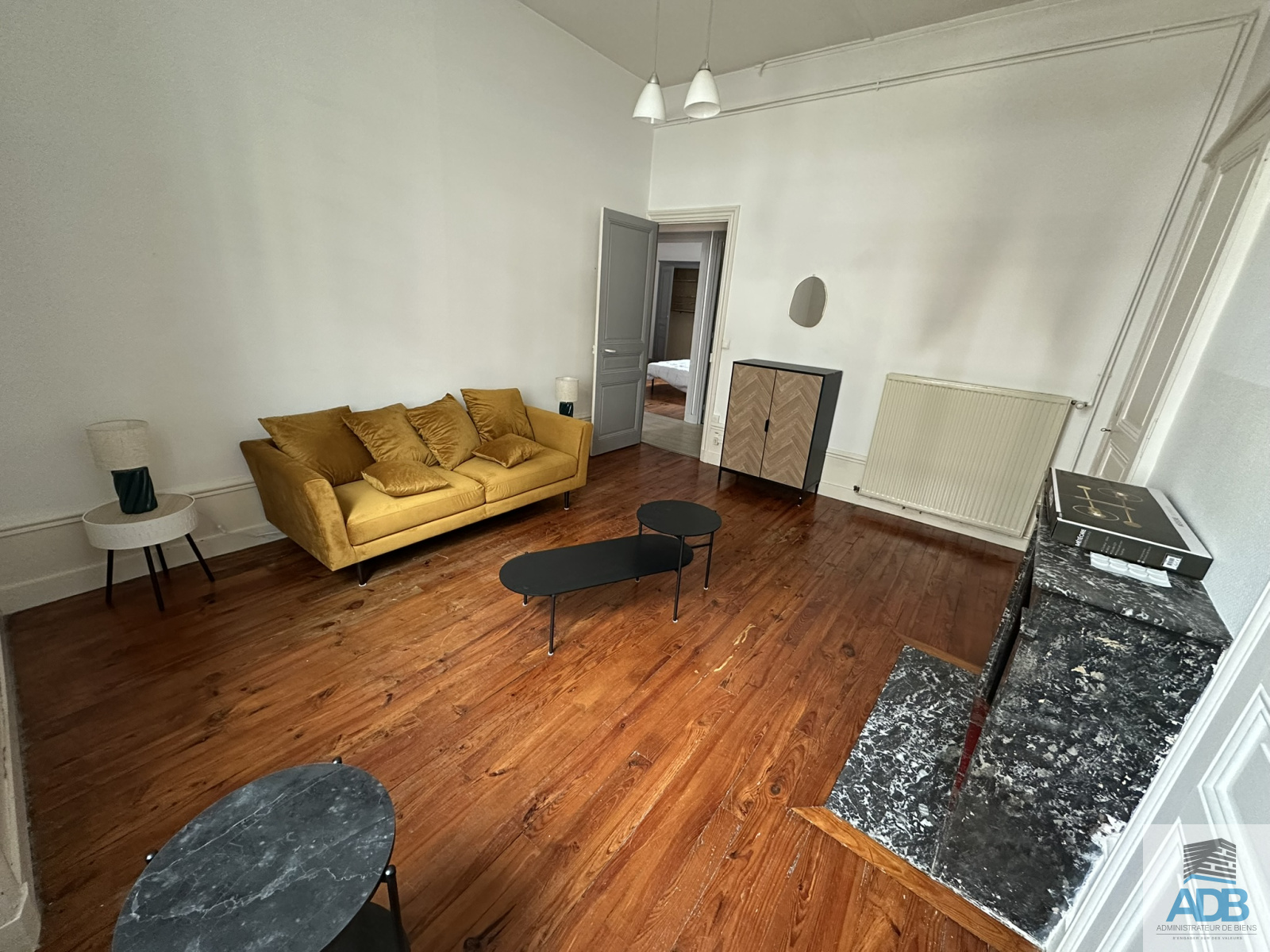 Image_, Appartement, Roanne, ref :LAP50005113