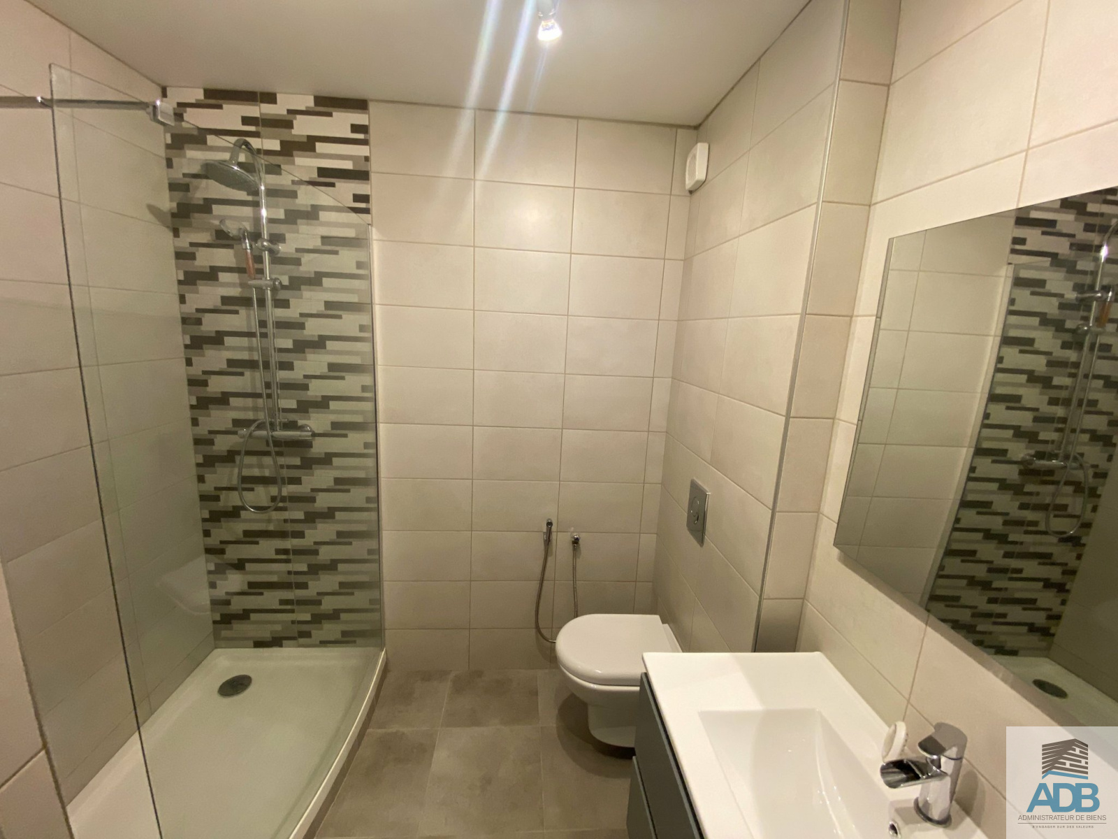 Image_, Appartement, Roanne, ref :LAP210004402