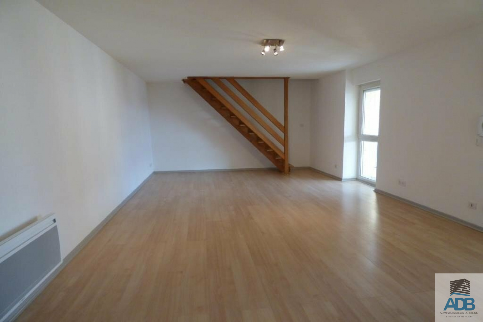 Image_, Appartement, Roanne, ref :LAP140002767