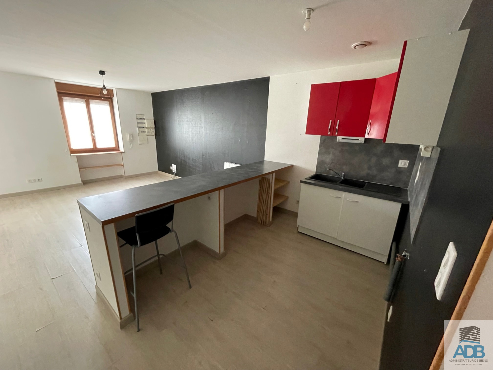 Image_, Appartement, Saint-Symphorien-de-Lay, ref :LAP40004681