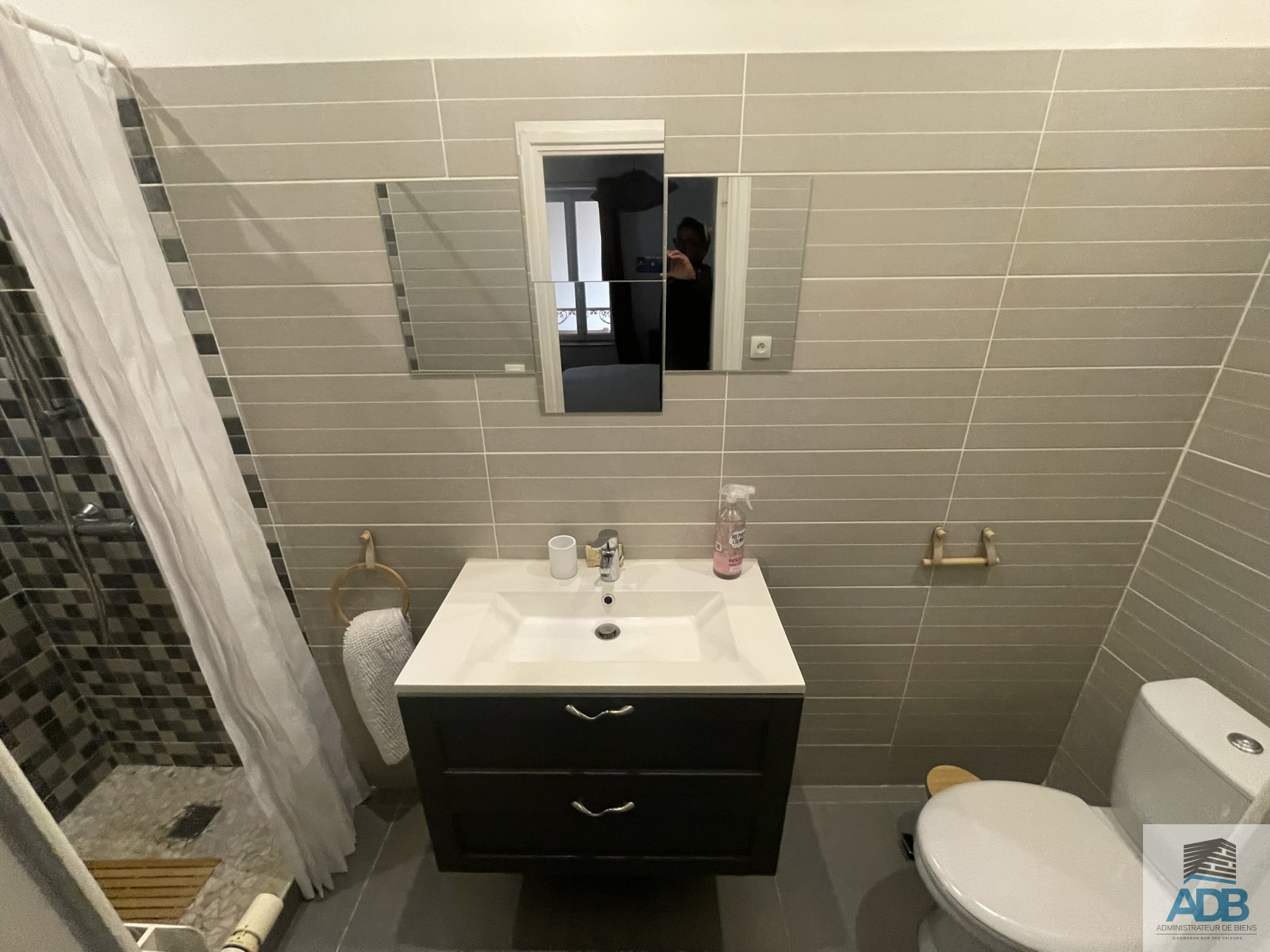 Image_, Appartement, Roanne, ref :LAP40005174