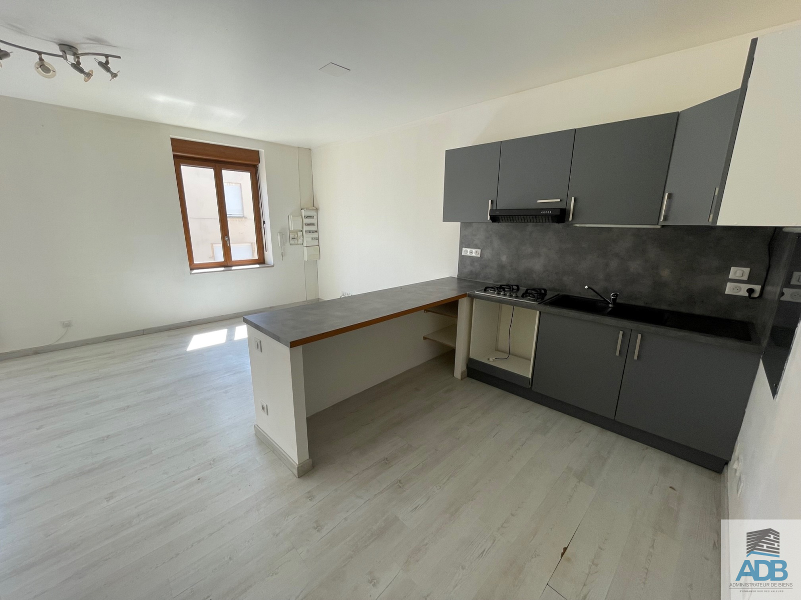 Image_, Appartement, Saint-Symphorien-de-Lay, ref :LAP40004579