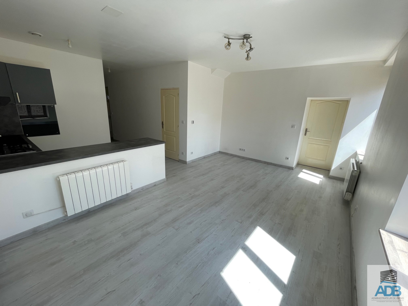 Image_, Appartement, Saint-Symphorien-de-Lay, ref :LAP40004579