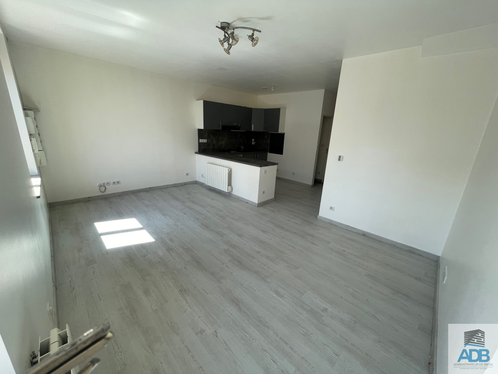 Image_, Appartement, Saint-Symphorien-de-Lay, ref :LAP40004579