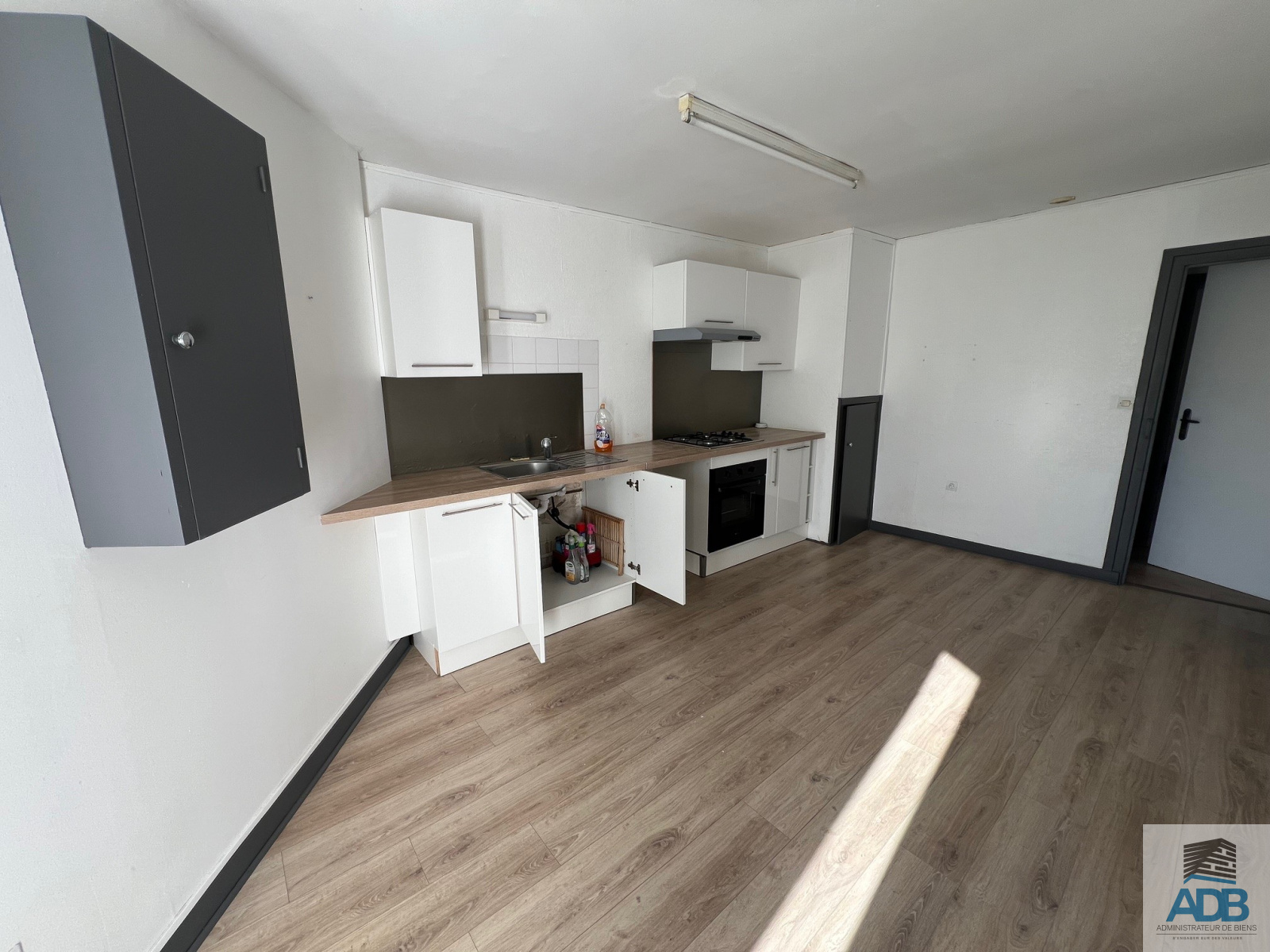 Image_, Appartement, Saint-Alban-les-Eaux, ref :5624la