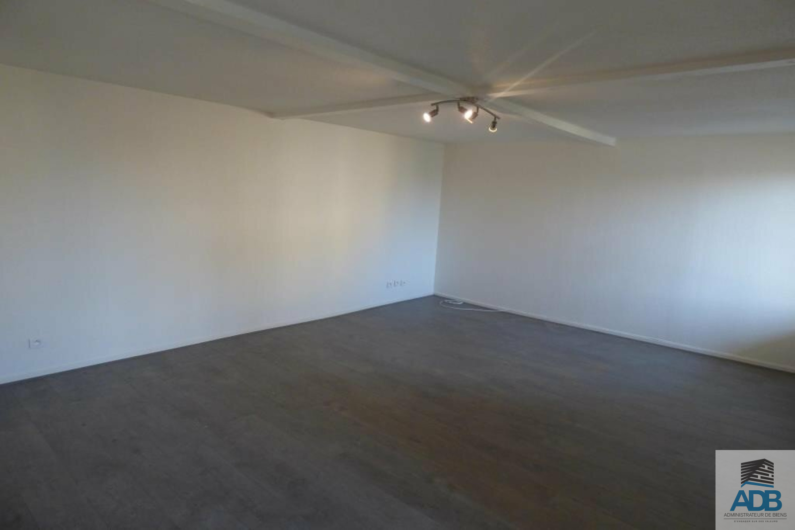 Image_, Appartement, Roanne, ref :LAP210003072