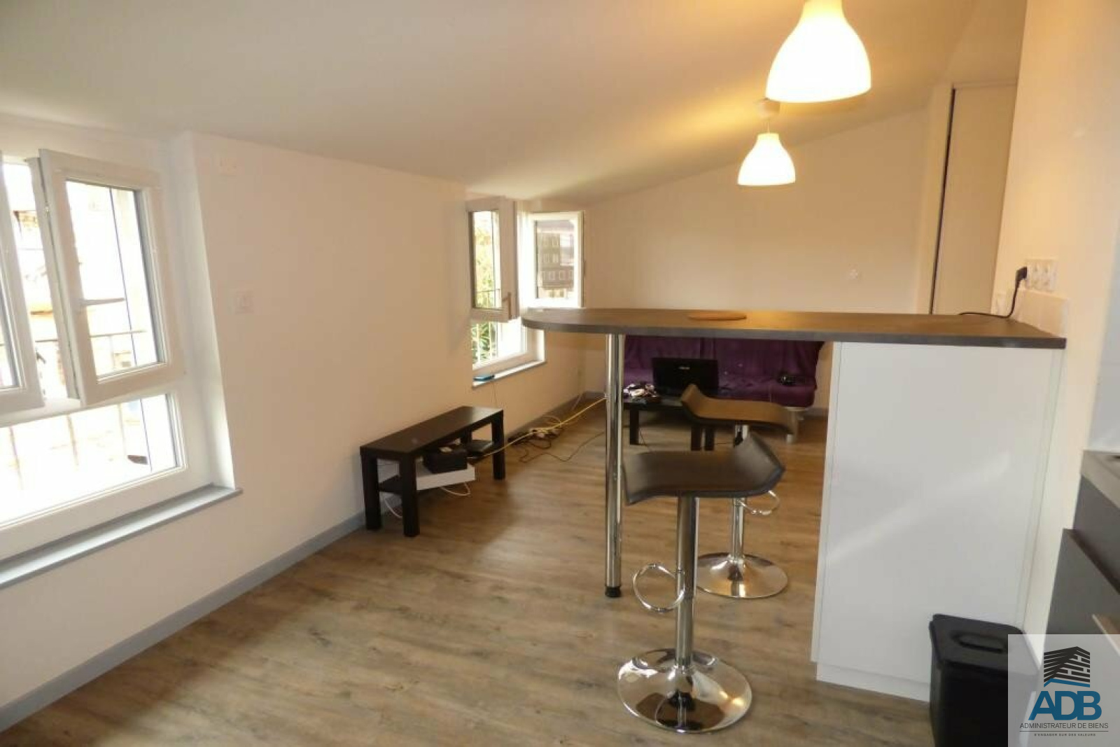 Image_, Appartement, Roanne, ref :LAP140002860