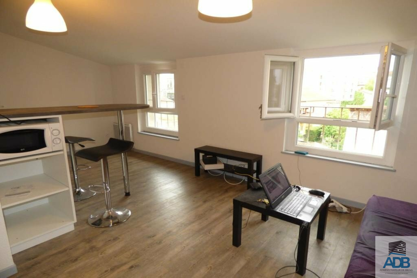 Image_, Appartement, Roanne, ref :LAP140002860