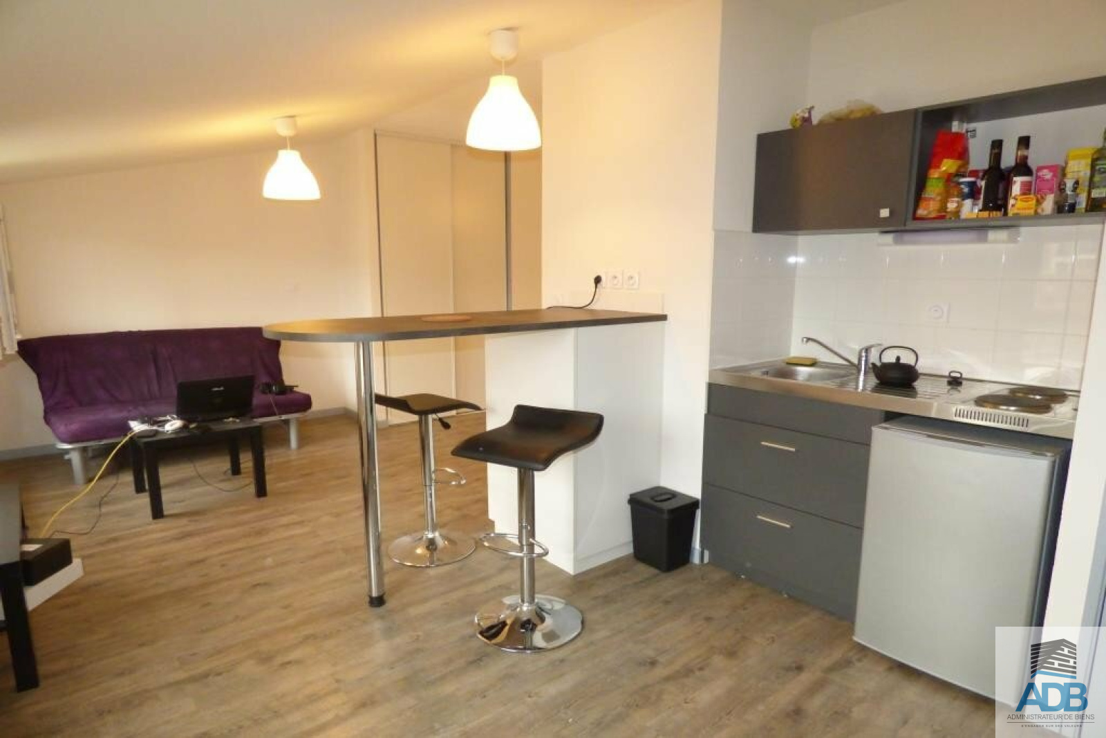 Image_, Appartement, Roanne, ref :LAP140002860