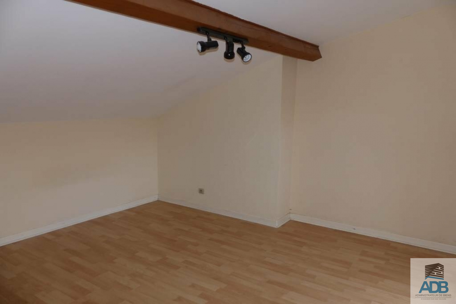 Image_, Appartement, Roanne, ref :LAP50001685