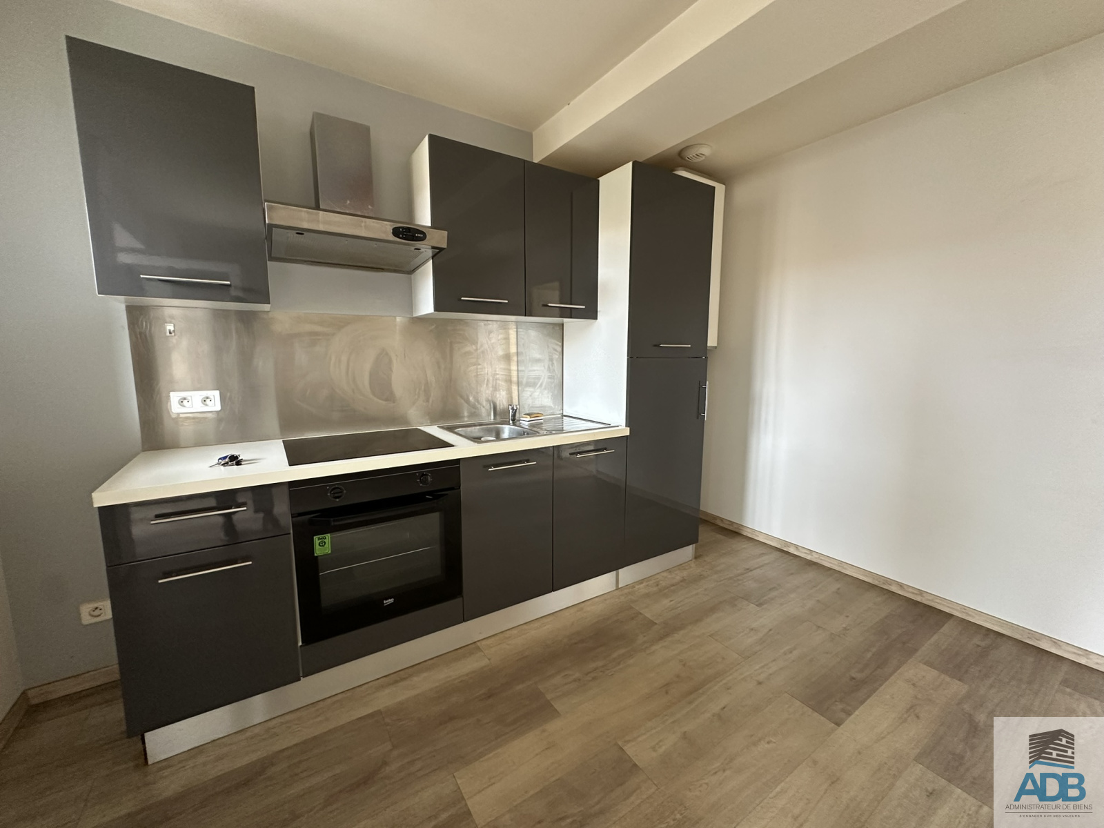 Image_, Appartement, Roanne, ref :LAP50005118
