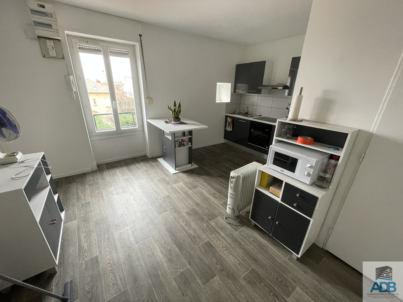 Image_, Appartement, Roanne, ref :LAP170004725