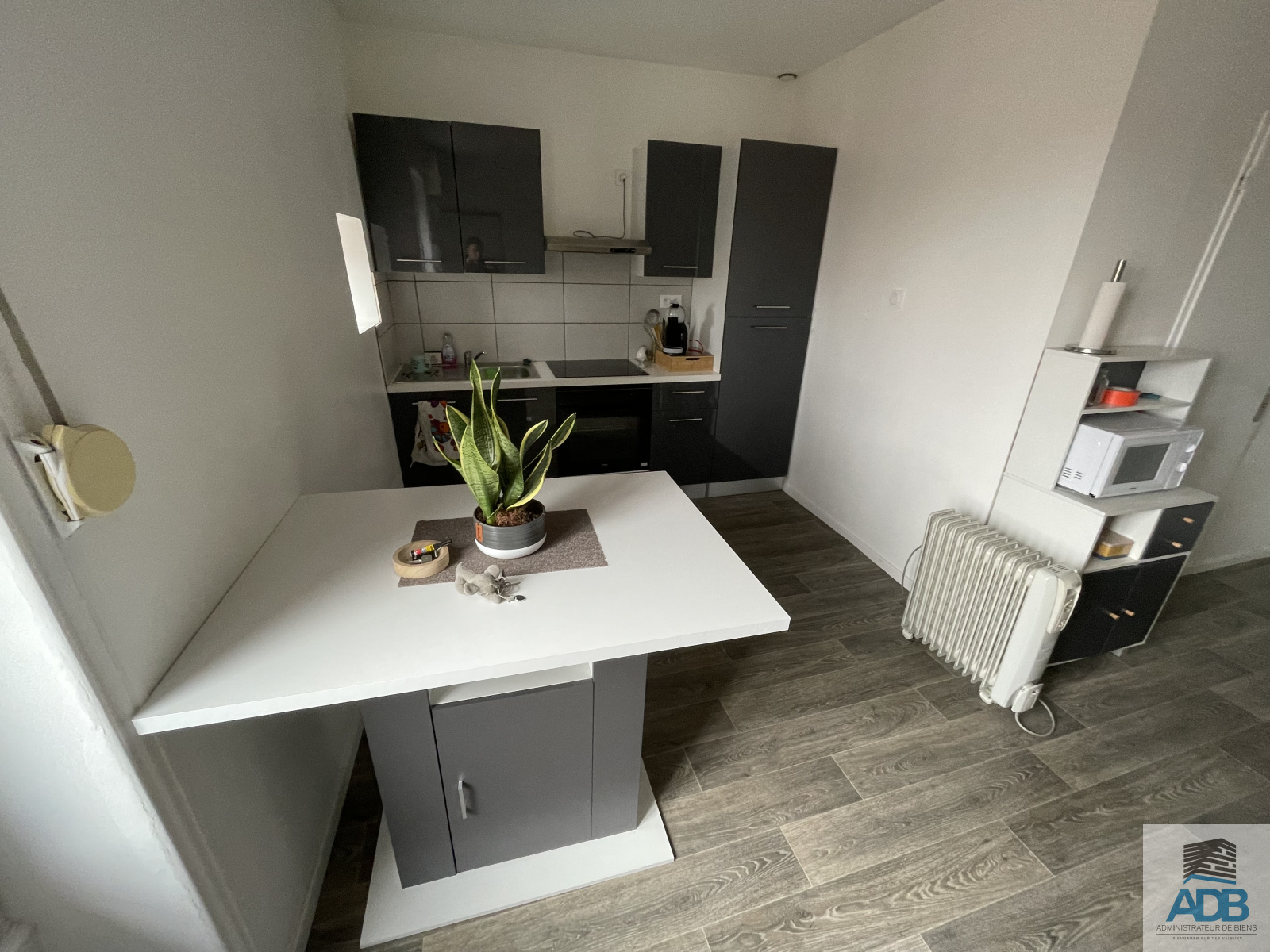 Image_, Appartement, Roanne, ref :LAP170004725