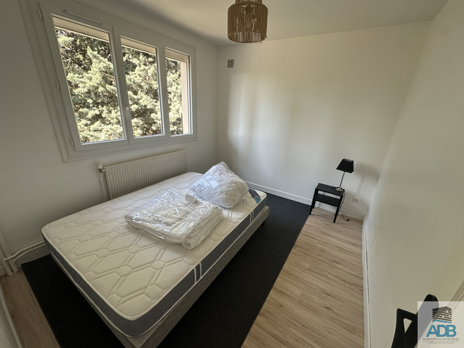 Image_, Appartement, Roanne, ref :LAP60002252